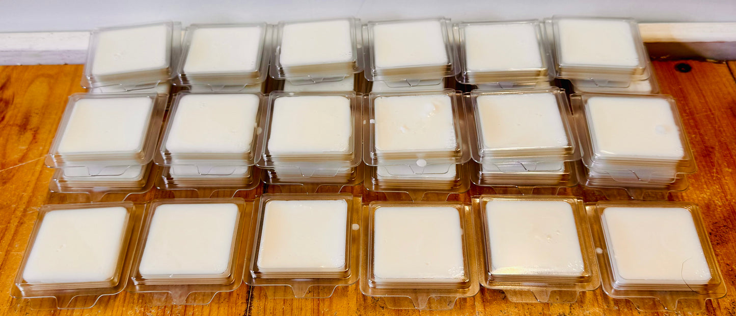 Mini Shampoo Bar Bundle (Clams)